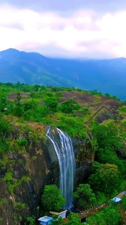 ๐ฟ Munnar Premium Tour Package ๐ฟ โ Photo 2