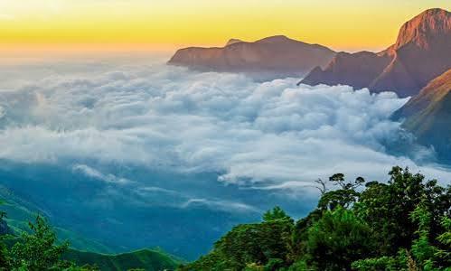 ๐ฟ Munnar Premium Tour Package ๐ฟ โ Photo 3
