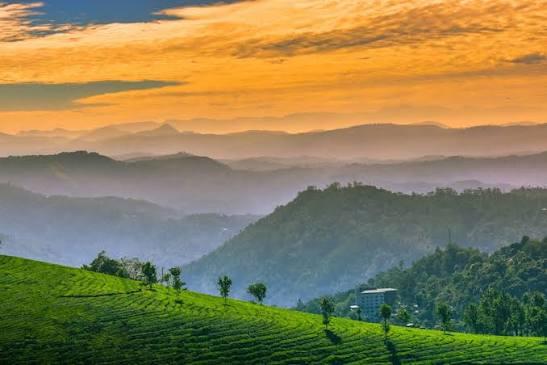 ๐ฟ Munnar Premium Tour Package ๐ฟ โ Photo 4